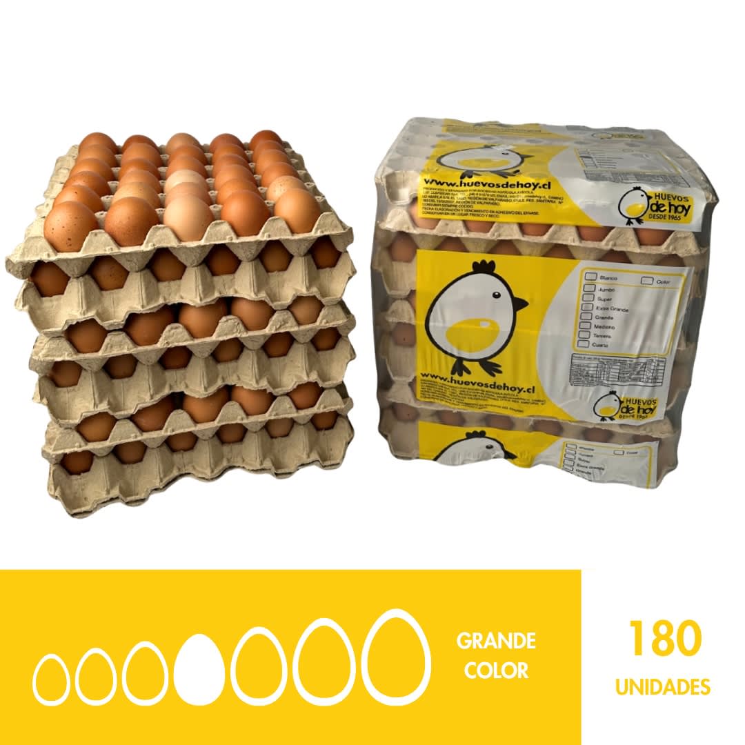 CAJA GRANDE COLOR X1801