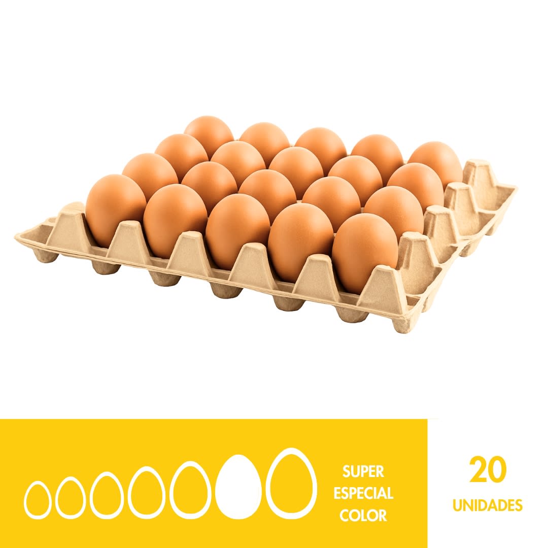 BANDEJA SUPER ESPECIAL COLOR X201