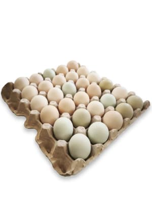 30 Huevo campo