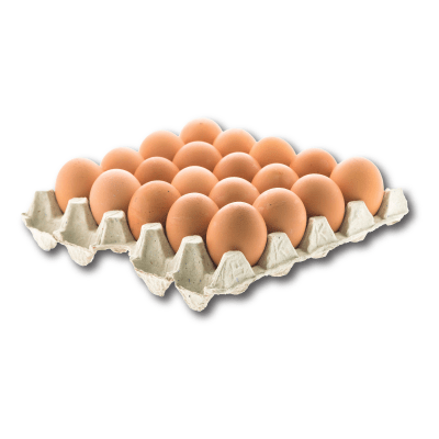 Bandeja Huevos Súper Color 20 un.