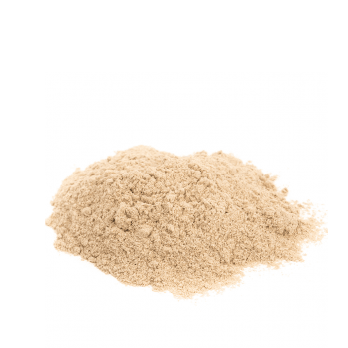 Ajo en polvo 1 Kg. 1