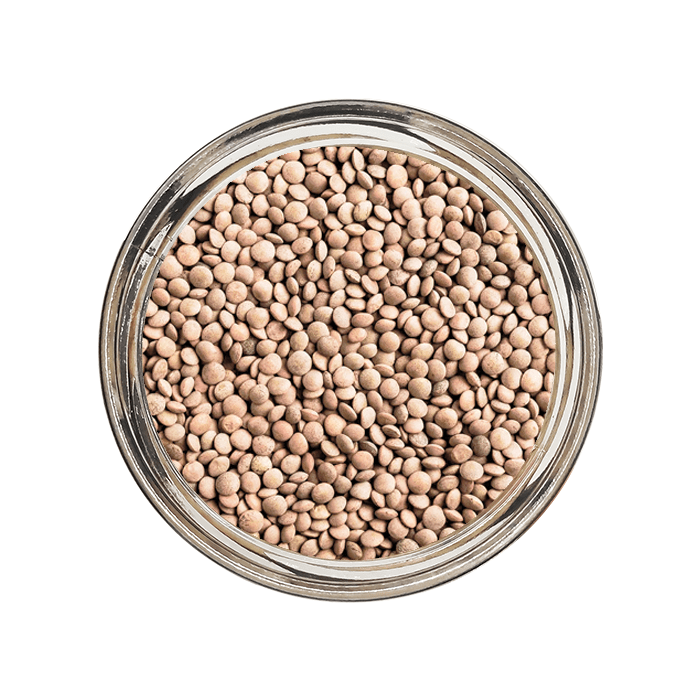 Lenteja Baby 1 Kg. 1