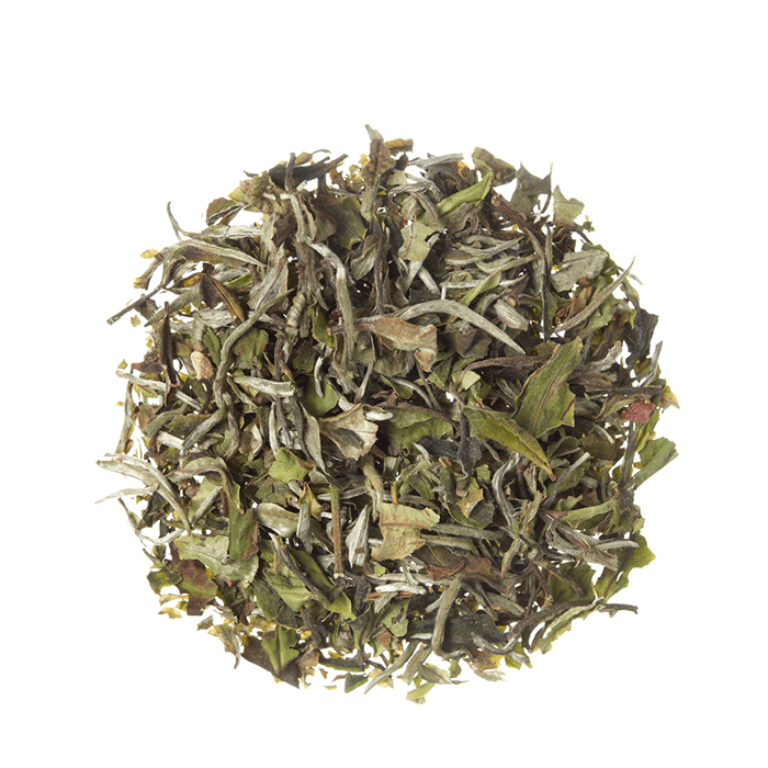 Té Blanco 1 Kg. 1