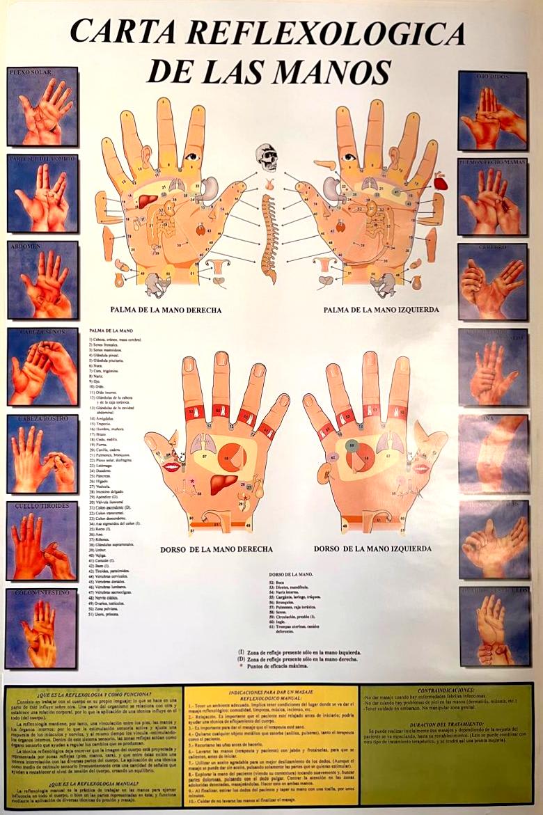 Derecha Reflexologia De Manos Y Pies Reflexología Podal Como Hacer