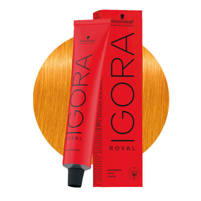 Concentrado Schwarzkopf IGORA ROYAL 0-55 60 ml2