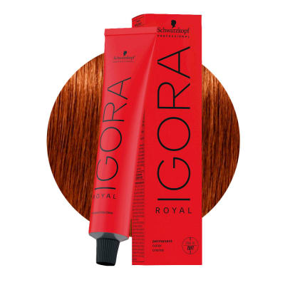 Tintura Schwarzkopf IGORA ROYAL 6-77 60 ml2