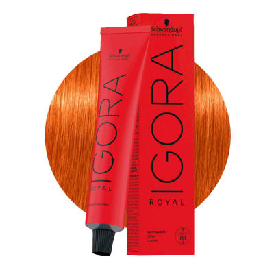 Tintura Schwarzkopf IGORA ROYAL 8-77 60 ml1
