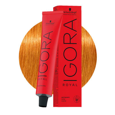 Tintura Schwarzkopf IGORA ROYAL 9-7 60 ml2