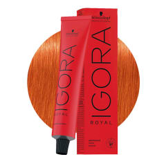 Tinte Permanente Igora Royal Schwarzkopf Professional