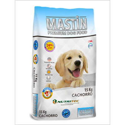mastin cachorro