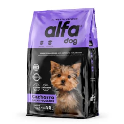 alfa cachorro raza pequeña