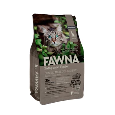 fawna gato adulto