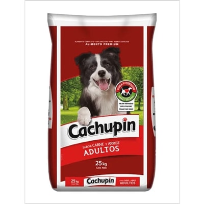 cachupin