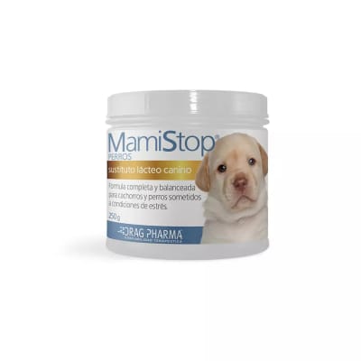 mamistop perro