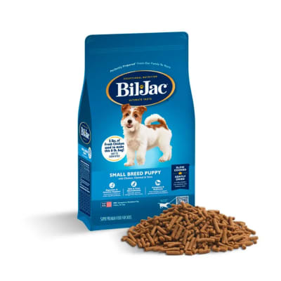 bil jac puppy small breed