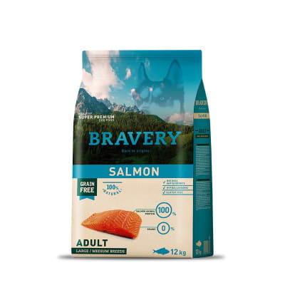 BRAVERY ADULT LARGE SALMON1