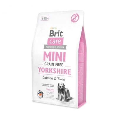 brit care mini yorkshire