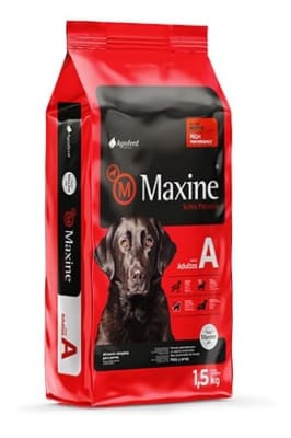 maxine adulto1