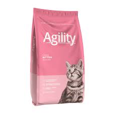agility kitten