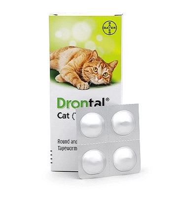 drontal gato 1 comprimido