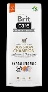 brit care champion