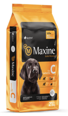 maxine cachorro