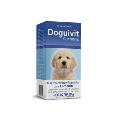 doguivit cachorro