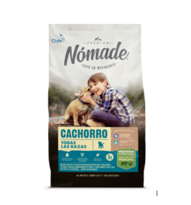 nomade cachorro