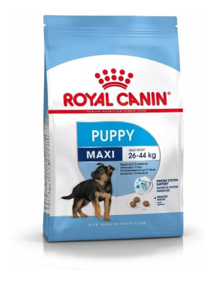 royal canin maxi puppy
