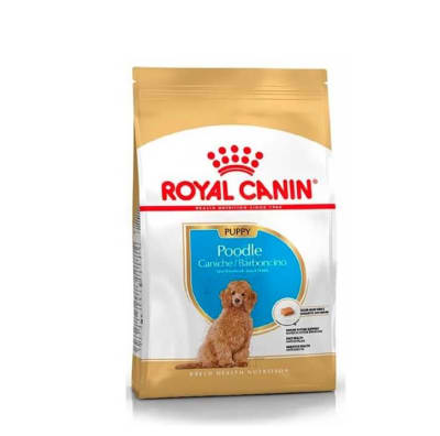 royal canin poodle junior1