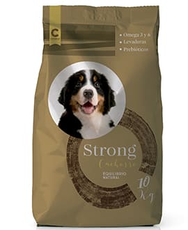 strong cachorro