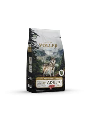 VOLLER ADULTO1