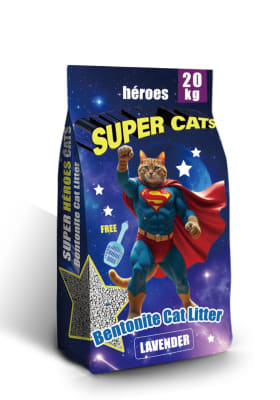 supercats arena1