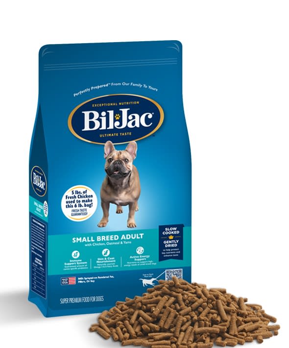 bil jac adulto raza pequeña El perro loco