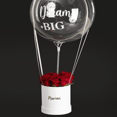 BOX AEROSTATICO CON ROSAS