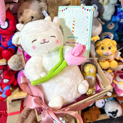 PACK CORDERITO TULIP