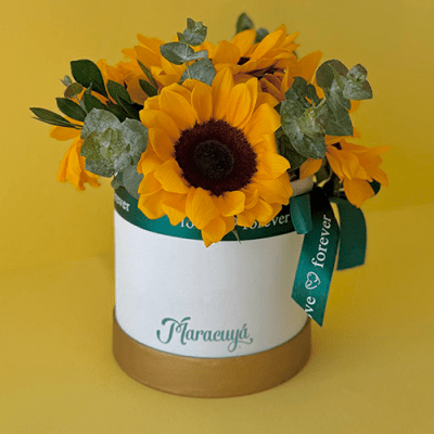 BOX CIRCULAR GIRASOLES