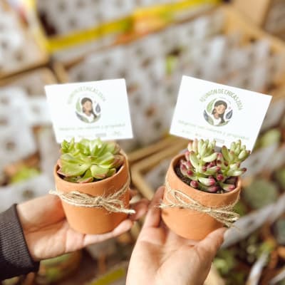 MACETA DECORATIVA NATURAL