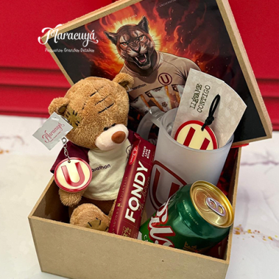 PACK OSITO UNIVERSITARIO