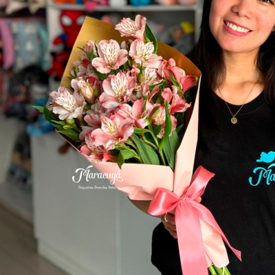 RAMO MEDIANO ASTROMELIAS