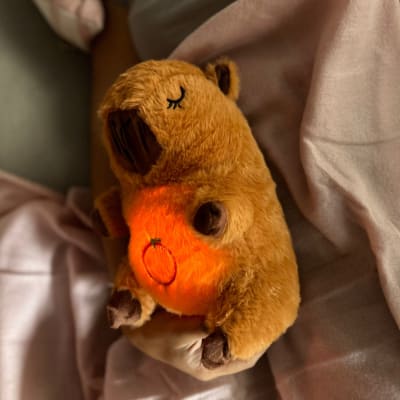 CAPIBARA QUE RESPIRA