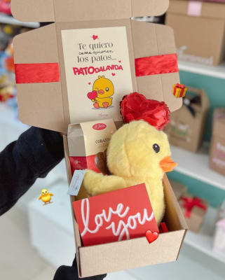 PACK PATODALAVIDA