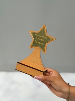 TROFEO ESTRELLA STOCK INGENIERA