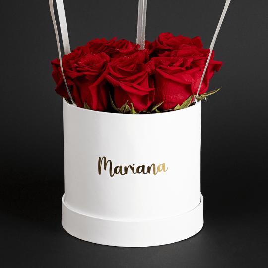 BOX AEROSTATICO CON ROSAS2