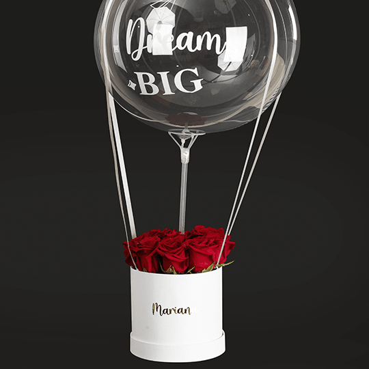 BOX AEROSTATICO CON ROSAS1