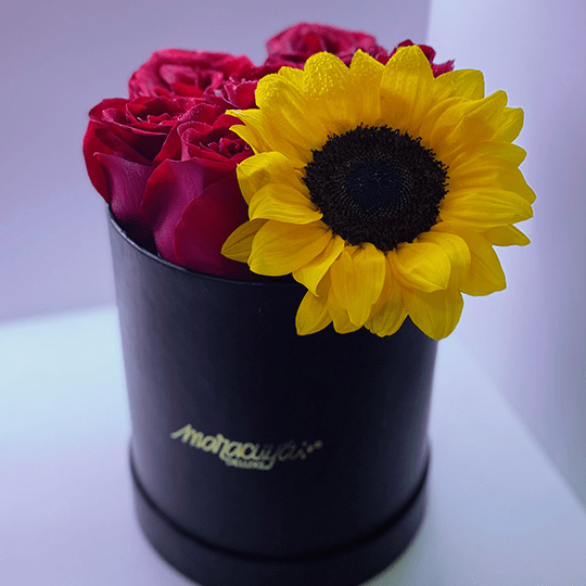 BOX ROSE SUNFLOWER1