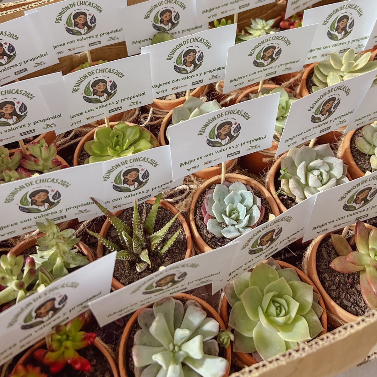 MACETA DECORATIVA NATURAL2