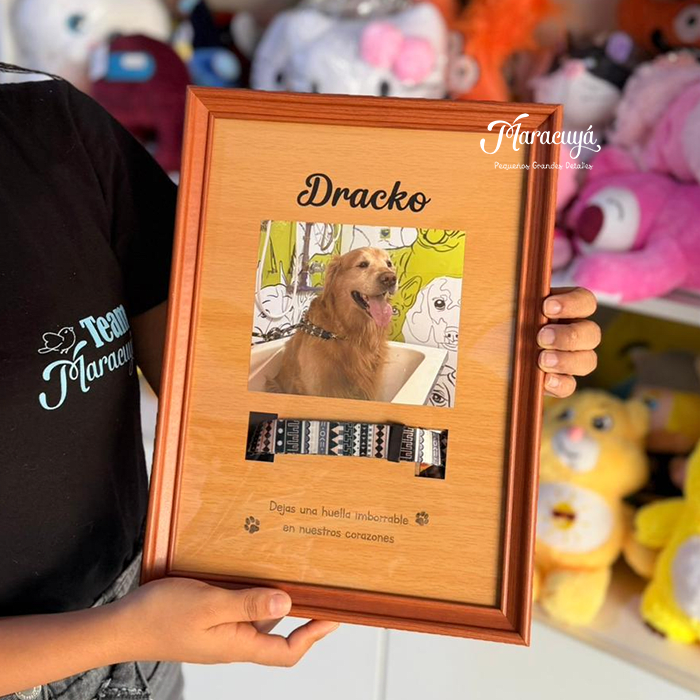 CUADRO RECUERDO MASCOTA1