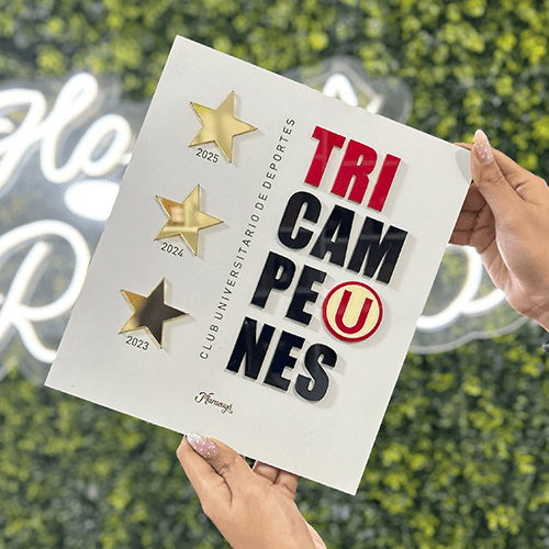 CUADRO TRICAMPEÓN UNIVERSITARIO1