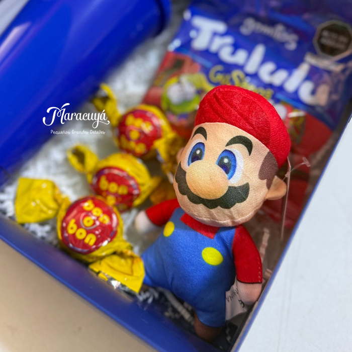 PACK MARIO2